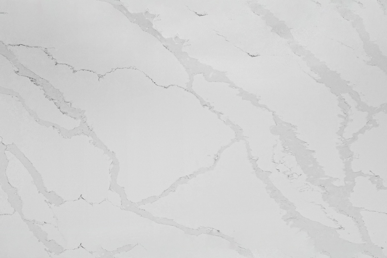 Calacatta Bianco