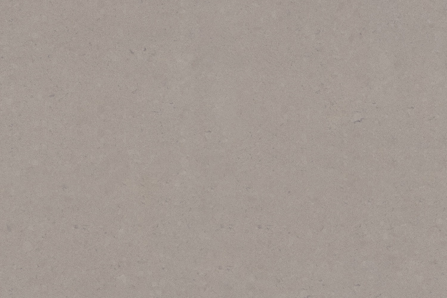 Oyster