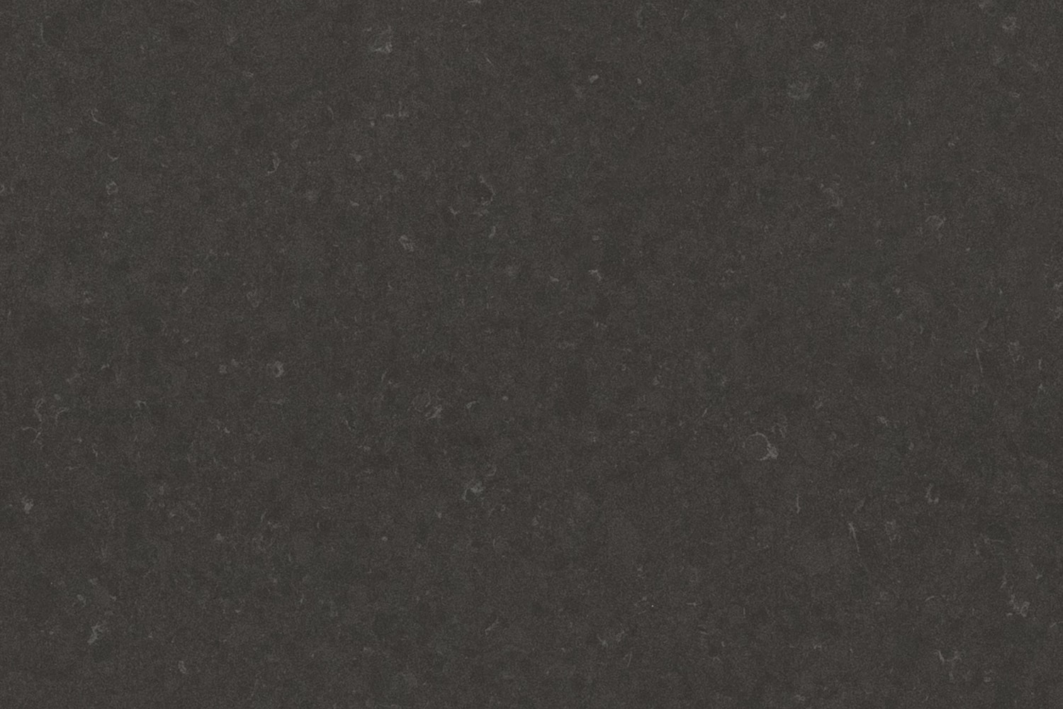 Raven Concrete
