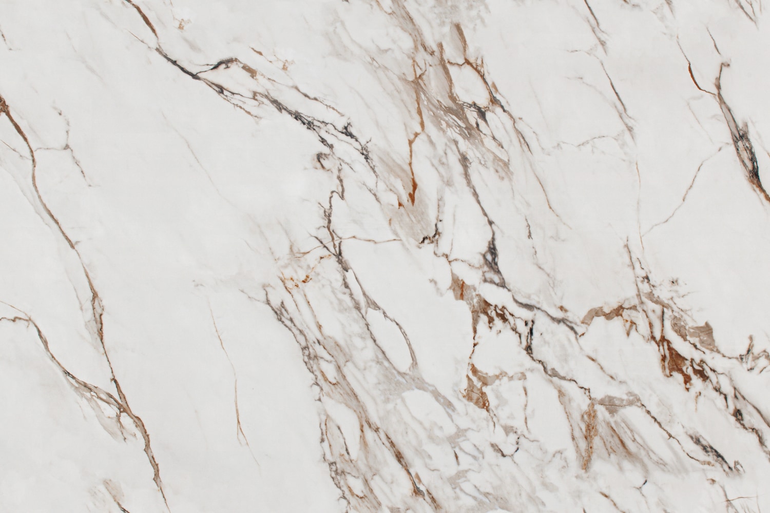 Light Red Calacatta